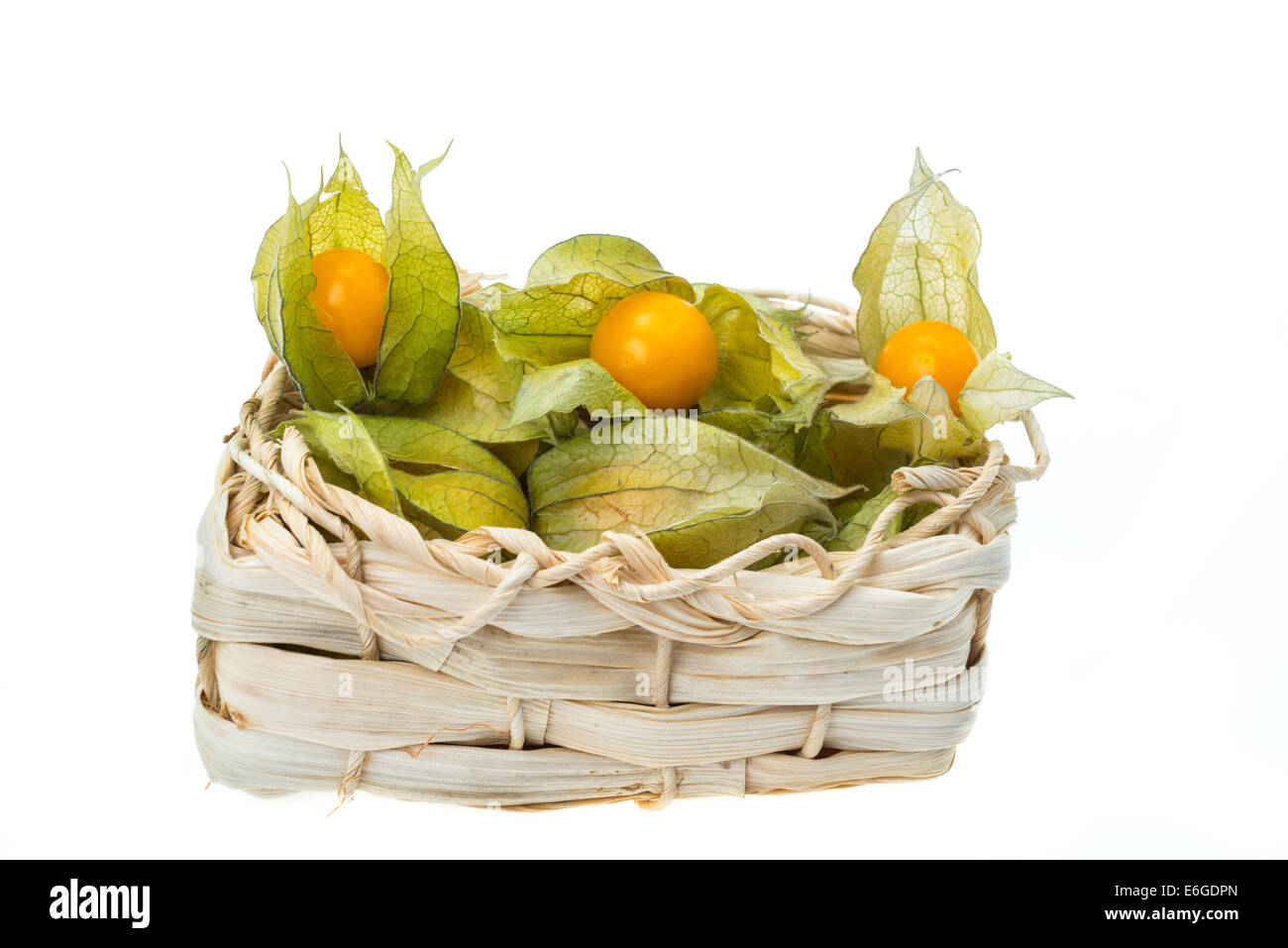 Physalis Früchte in einem Korb, auch bekannt als Kap-Stachelbeere oder Winterkirsche - Studio gedreht mit weißem Hintergrund Stockfoto