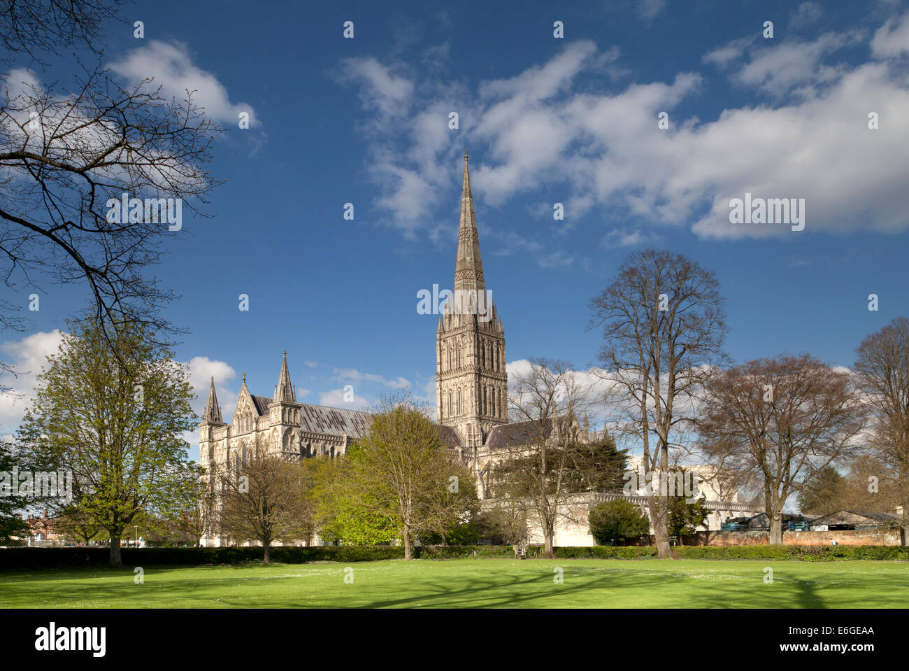 Kathedrale von Salisbury in Wiltshire, England, fotografiert aus dem Südwesten Ende April. Stockfoto