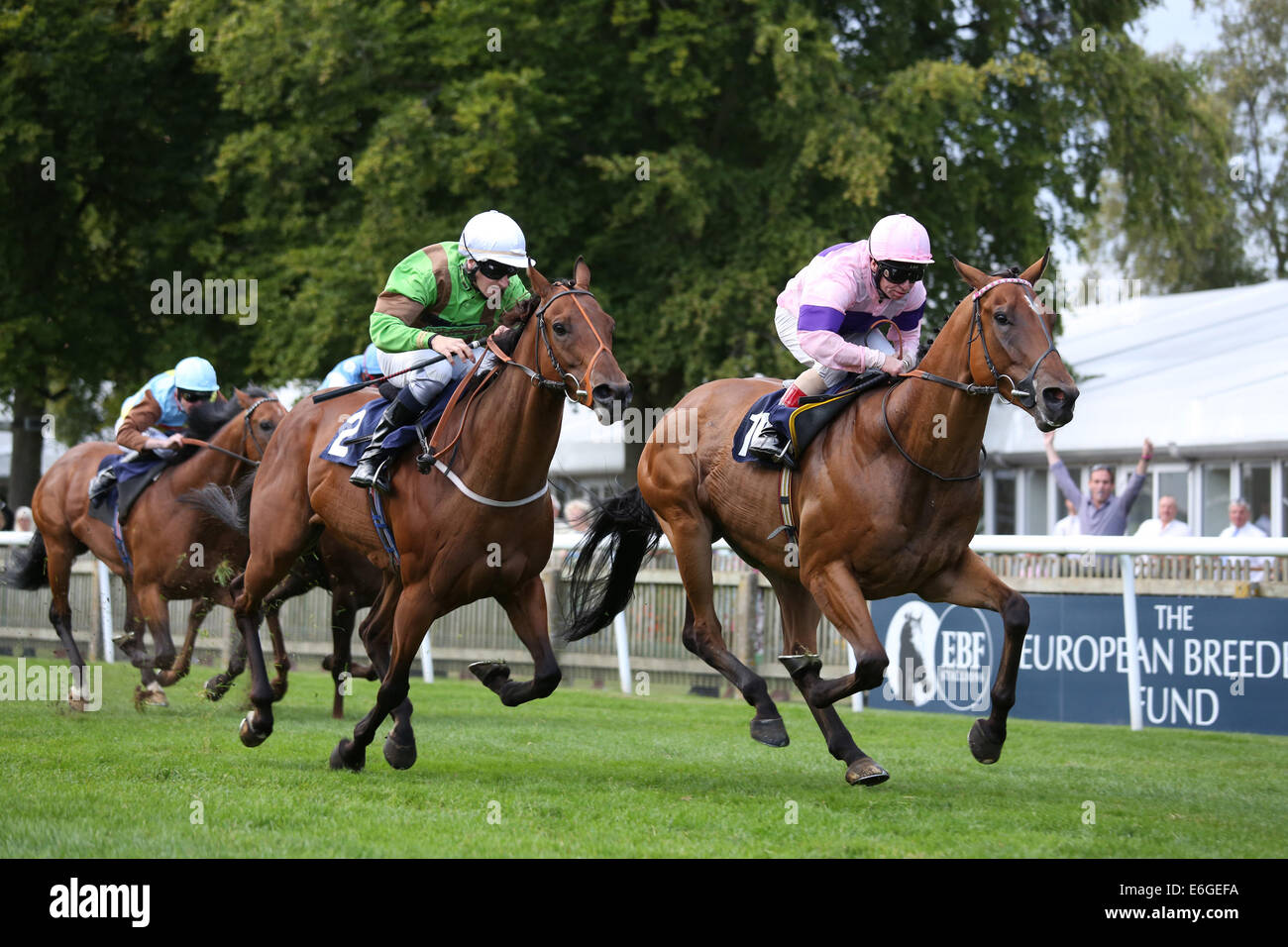 Newmarket, Großbritannien. 22. August 2014. Abschluss des Kurstages Juli 1. Dreifach-Schokolade unter Jimmy Quinn gewann die TRM-Ireland.Com Handicap Credit: Action Plus Sport/Alamy Live News Stockfoto