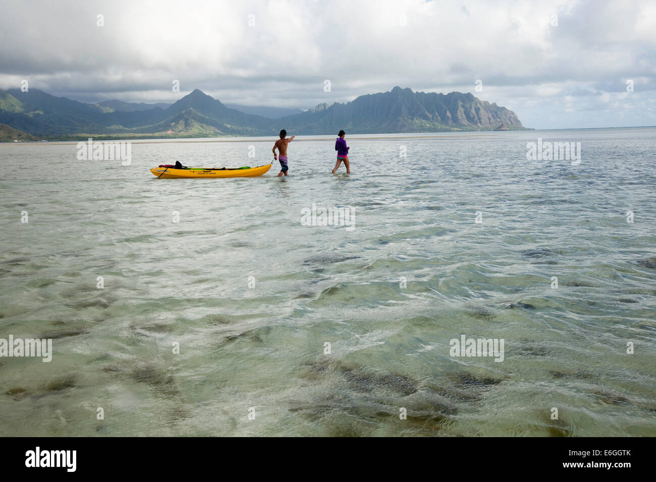 Kaneohe Sandbar, überqueren die Sandbank auf Kipapa Insel laufen Kajaks Stockfoto