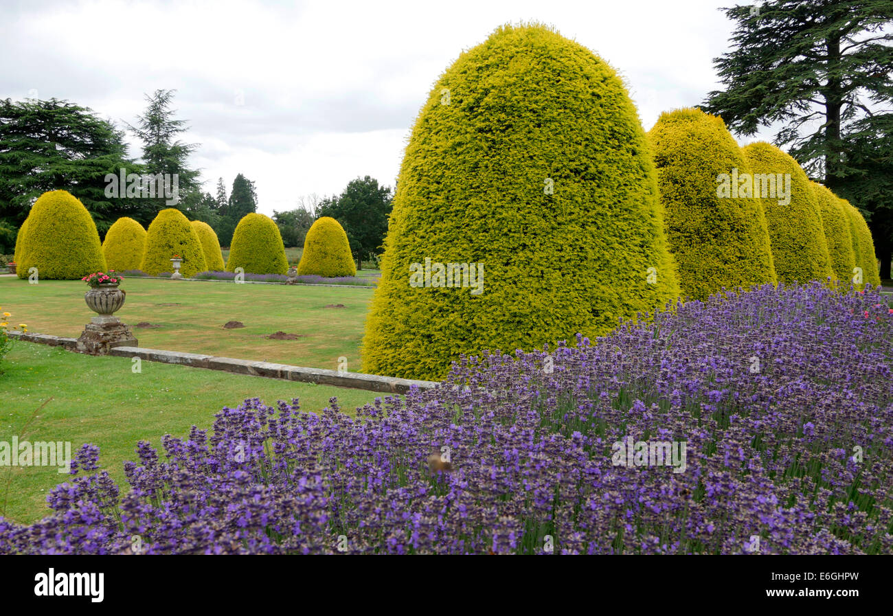 Shugborough Hall, Shugborough Estate, Great Haywood, Staffordshire England National Trust Stockfoto