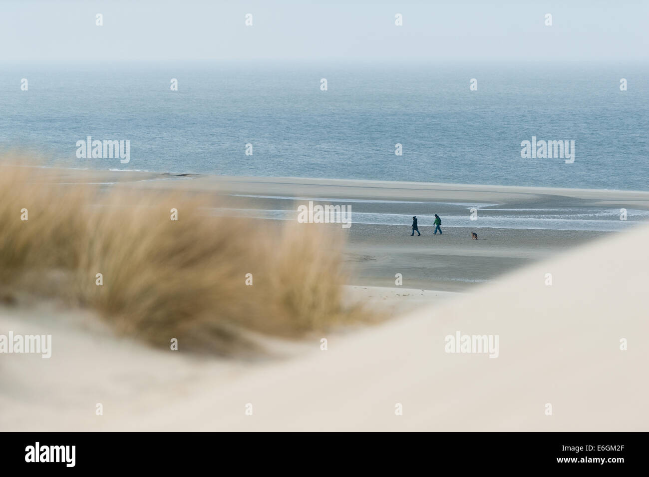 Ein paar ihren Hund am Strand spazieren gehen. Oosterschelde, Niederlande. Stockfoto