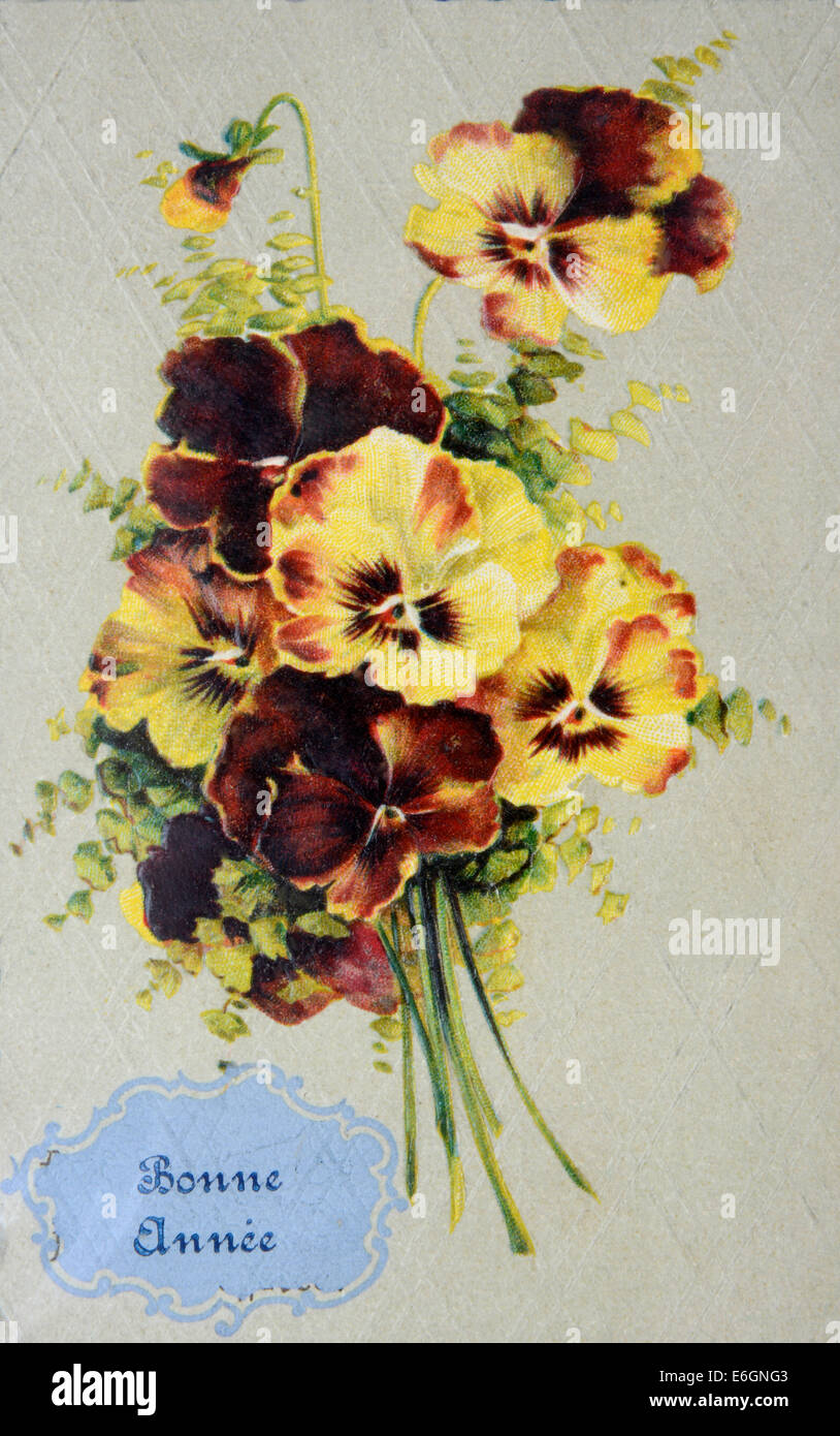 Vintage-Postkarte mit einem Blumenstrauß aus Stiefmütterchen und einem Neujahrsgruß im Design Stockfoto