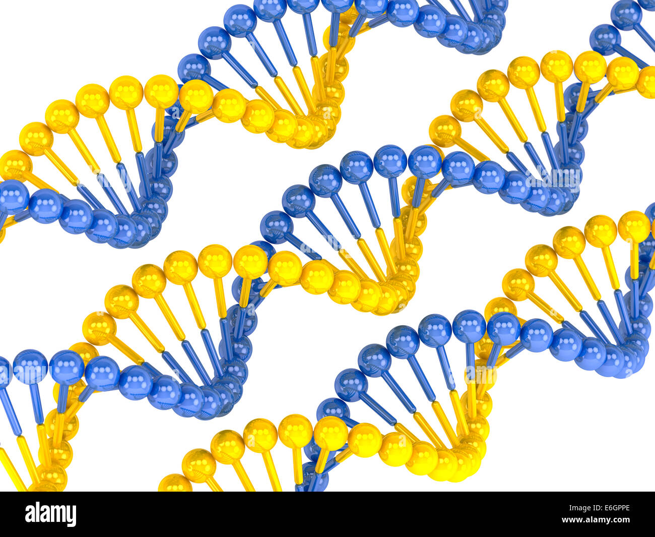Gelb Blau DNA-Molekül auf weißem Hintergrund Stockfoto