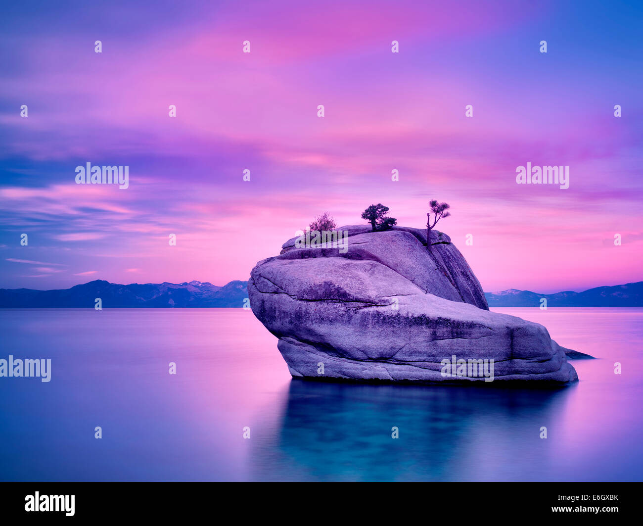 Bonsai-Baum auf Findling mit Sonnenaufgang. Lake Tahoe, Nevada Stockfoto