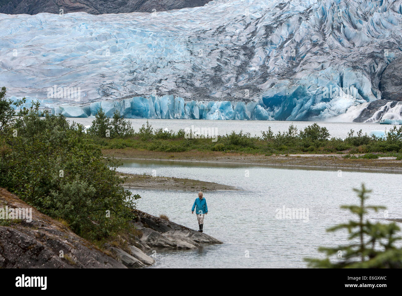 Mendenhall Gletscher ist ein Gletscher ca. 12 Meilen (19 Kilometer) lang befindet sich in Mendenhall-Tal, etwa 12 Meilen (19 Kilometer) von der Innenstadt von J Stockfoto