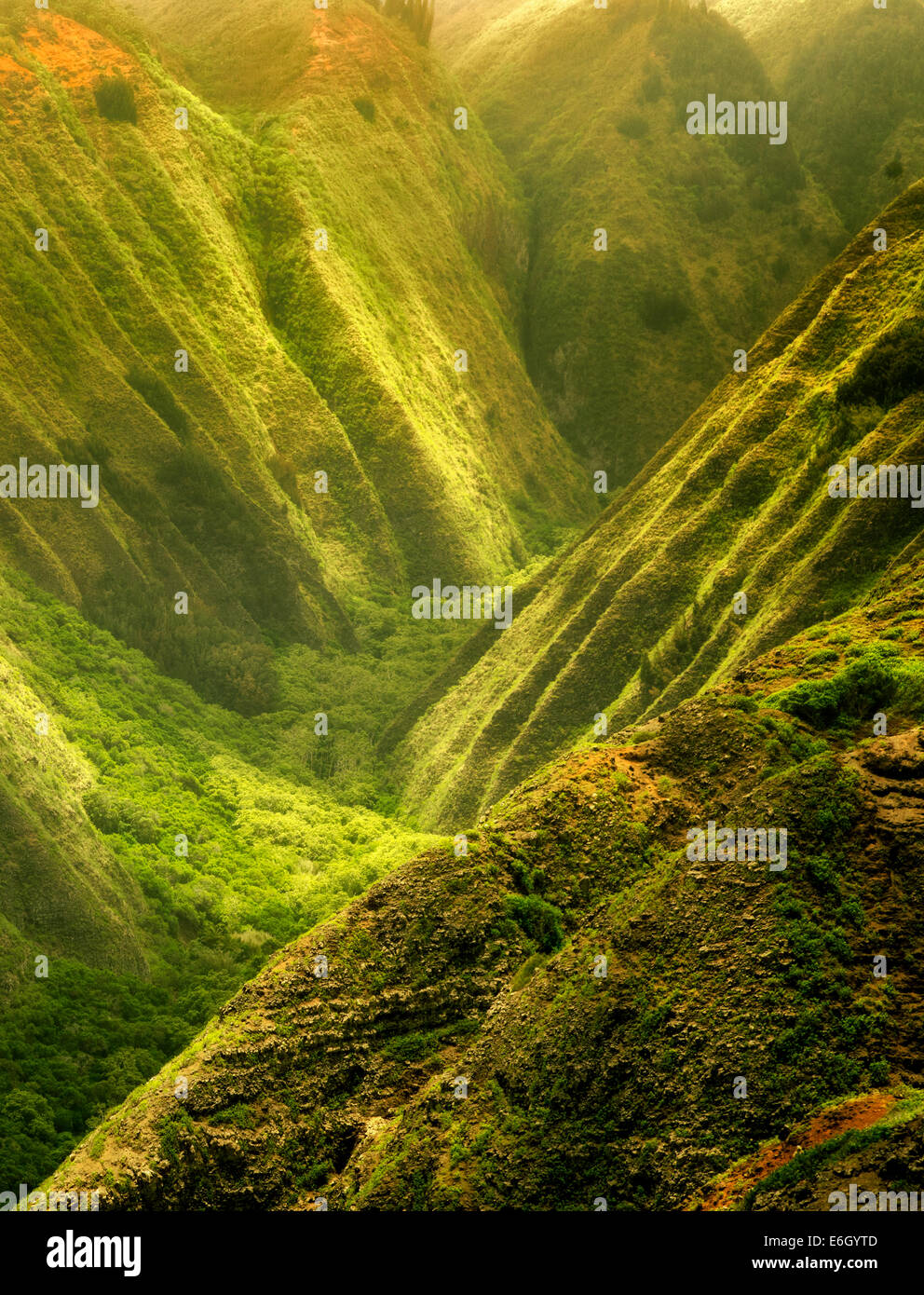 Maunalei Tal mit gefleckten Licht. Lanai, Hawaii. Stockfoto