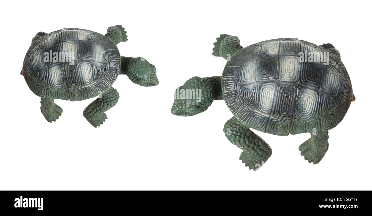 Schildkröte-Figuren Stockfoto