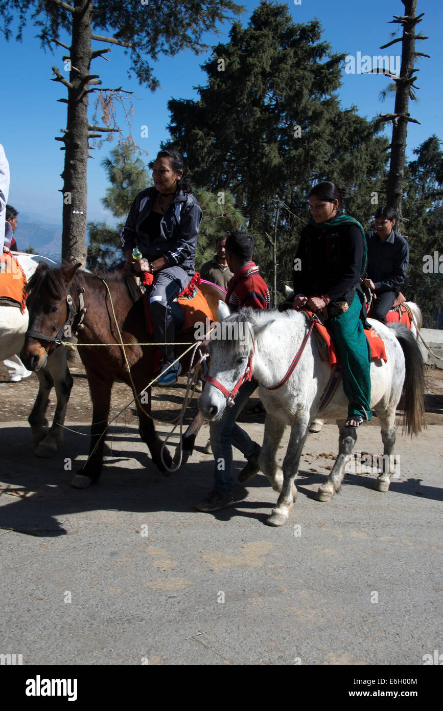 Eine Gruppe indischer Touristen, die auf Ponys in der Nähe der winzigen Bergstation von Kufri in Himachal Pradesh in Indien fahren Stockfoto