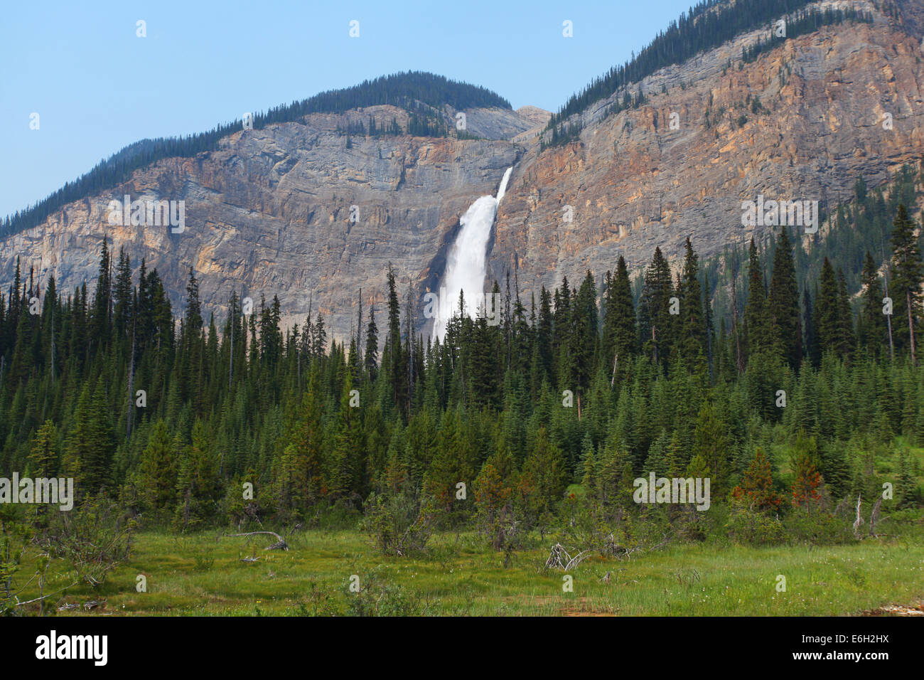 Gespeisten fällt im Yoho Nationalpark in British Columbia, Kanada Stockfoto