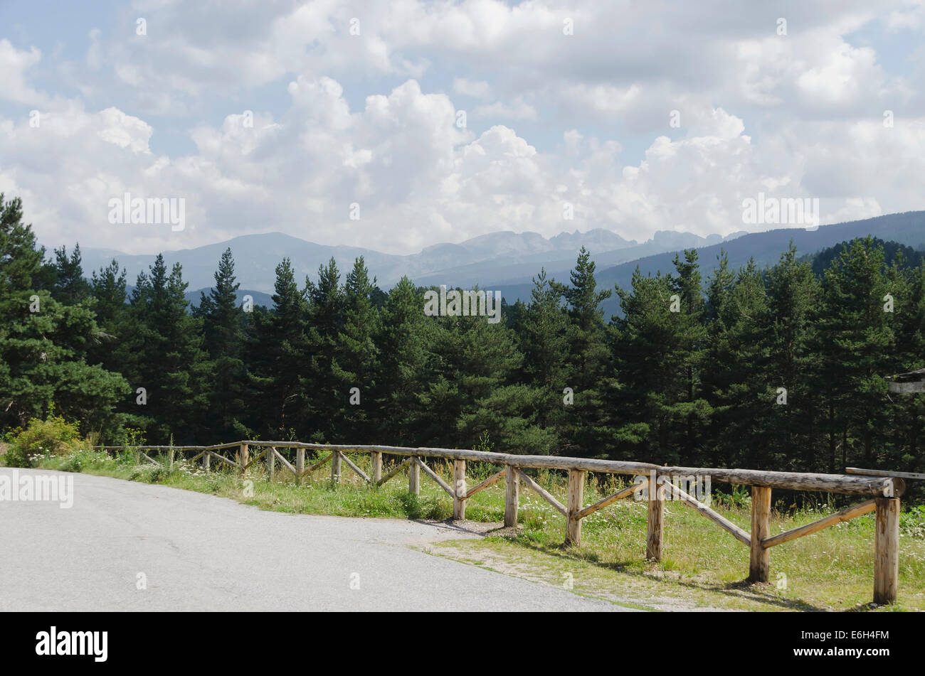 Weg durch grüne Wälder und hohe Gipfel im Rila-Gebirge, Bulgarien. Stockfoto