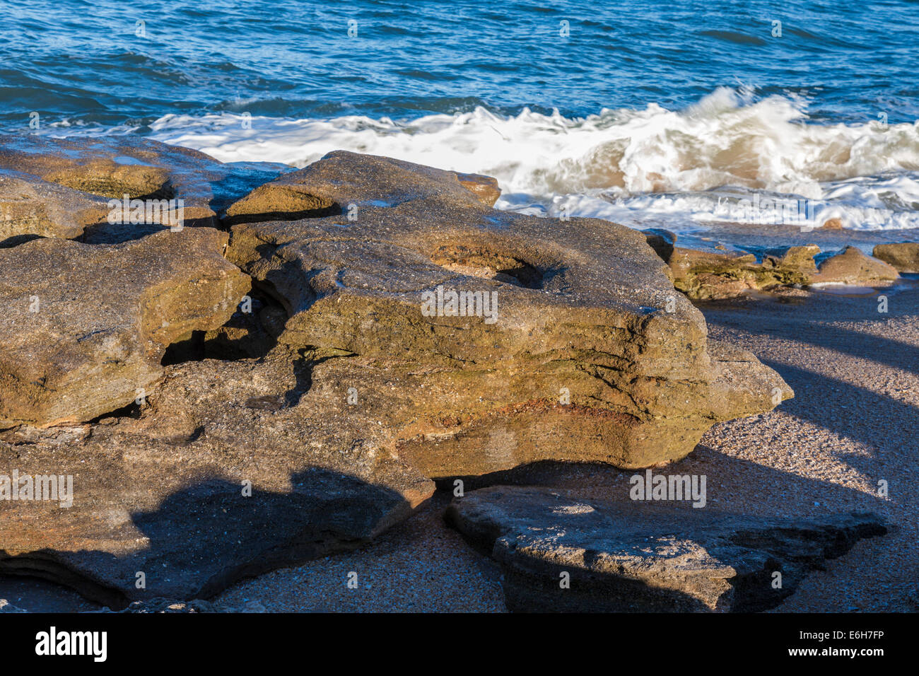 Coquina Felsformationen entlang Küste des Atlantischen Ozeans im Washington Eichen Gärten State Park in Palm Coast, Florida, USA Stockfoto