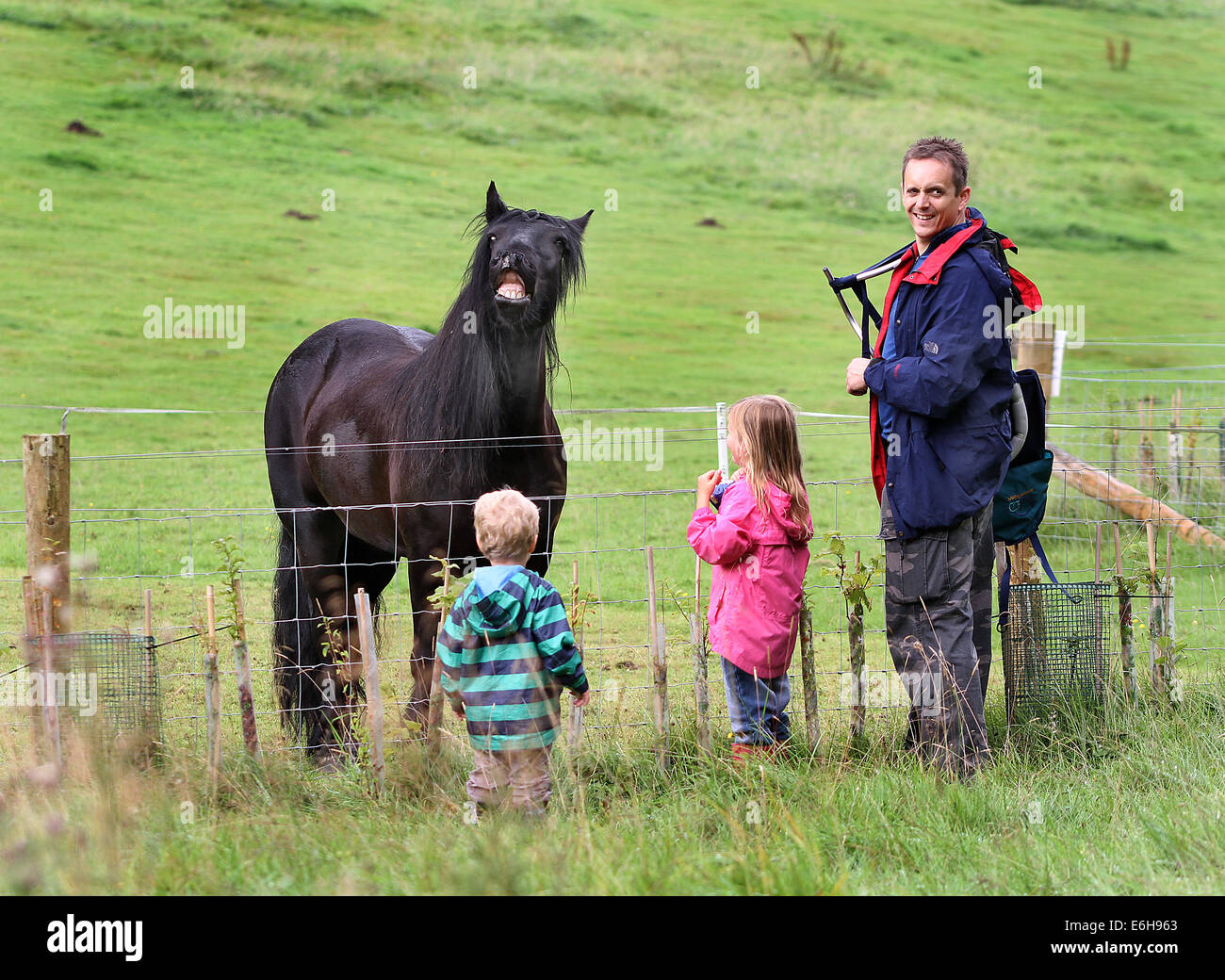 Familie sagt Hallo zu einem lachenden Pferd. Stockfoto