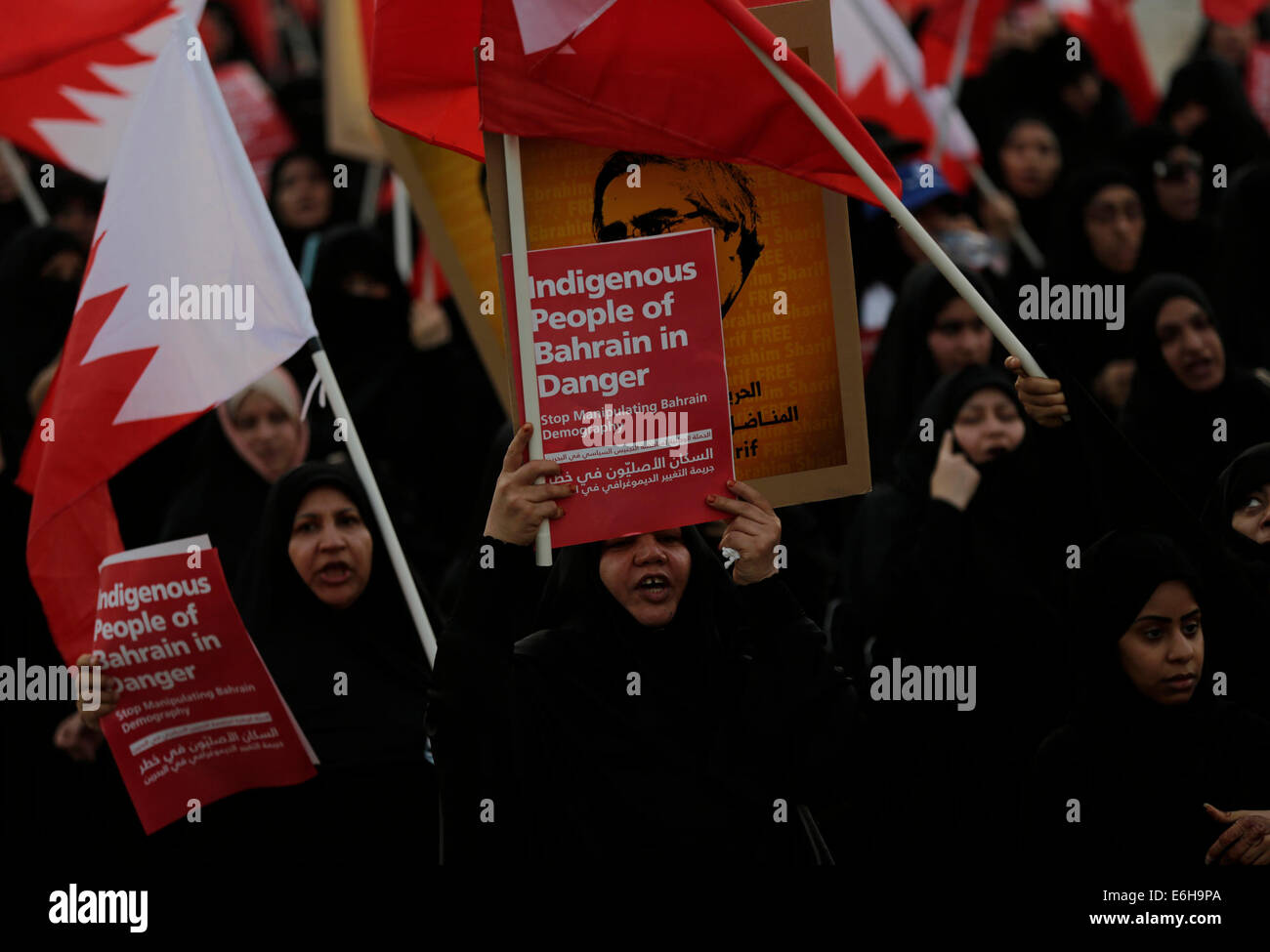 Manama, Manama. 23. August 2014. Bahrains schiitischen Frauen nehmen Teil in einem Anti-Regierungs-Protest gegen die Manipulation der Demographie in Bahrain, westlich von Manama, am 23. August 2014. Sie behaupteten, dass die sunnitischen Behörden versuchen, das Königreich demographische Gleichgewicht zu ihren Gunsten ändern, indem Sie Ausländer Verwilderung. Bildnachweis: Hasan Jamali/Xinhua/Alamy Live-Nachrichten Stockfoto