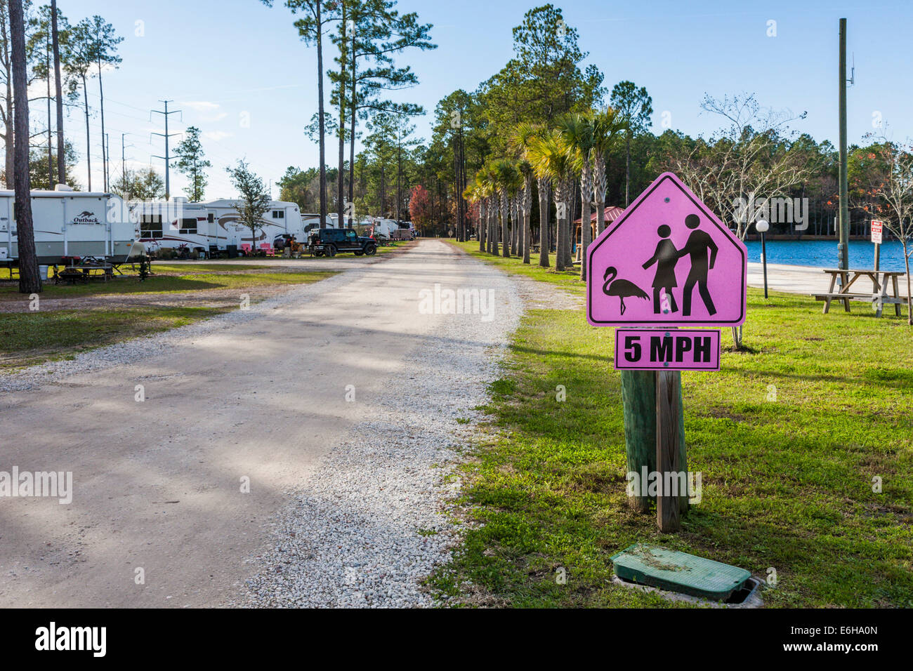 5 km/h Höchstgeschwindigkeit Zeichen mit Flamingo und Menschen auf der Straße im Flamingo Lake RV Resort in Jacksonville, Florida Stockfoto