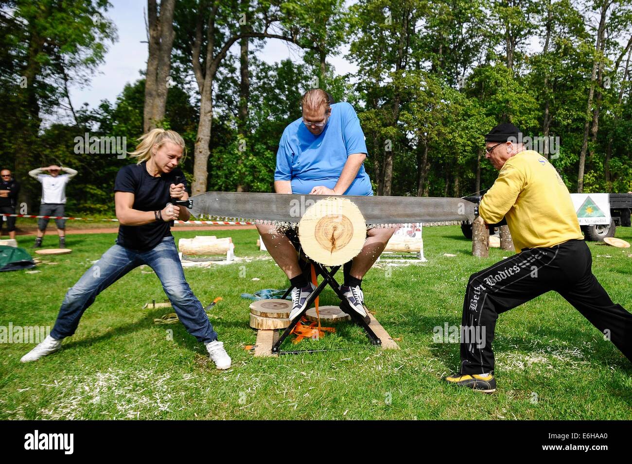 Maetaguse, Estland. 23. August 2014. Spieler treten in Log-Sägen, ein Spiel während der nordischen Axtwerfen Meisterschaft in Maetaguse, Estland, am 23. August 2014. Mehr als 100 beste Axt Werfer aus Dänemark, Schweden, Finnland und Estland konkurrieren in den nordischen Axtwerfen Meisterschaft, die vom 22. bis 23. August dauert. © Sergei Stepanov/Xinhua/Alamy Live-Nachrichten Stockfoto