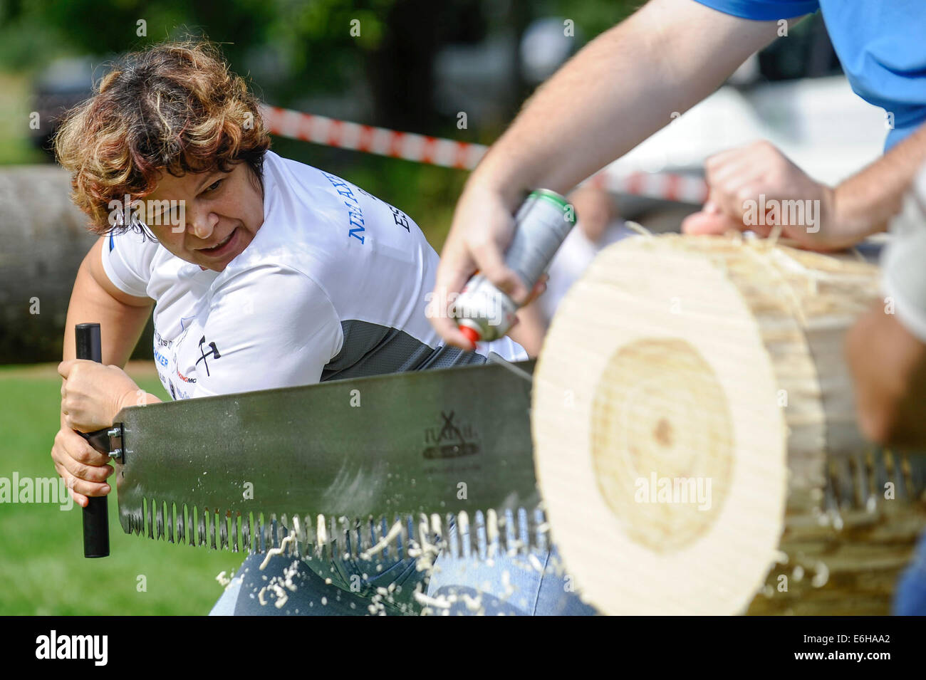Maetaguse, Estland. 23. August 2014. Ein Spieler konkurriert in Log-Sägen, ein Spiel während der nordischen Axtwerfen Meisterschaft in Maetaguse, Estland, am 23. August 2014. Mehr als 100 beste Axt Werfer aus Dänemark, Schweden, Finnland und Estland konkurrieren in den nordischen Axtwerfen Meisterschaft, die vom 22. bis 23. August dauert. © Sergei Stepanov/Xinhua/Alamy Live-Nachrichten Stockfoto