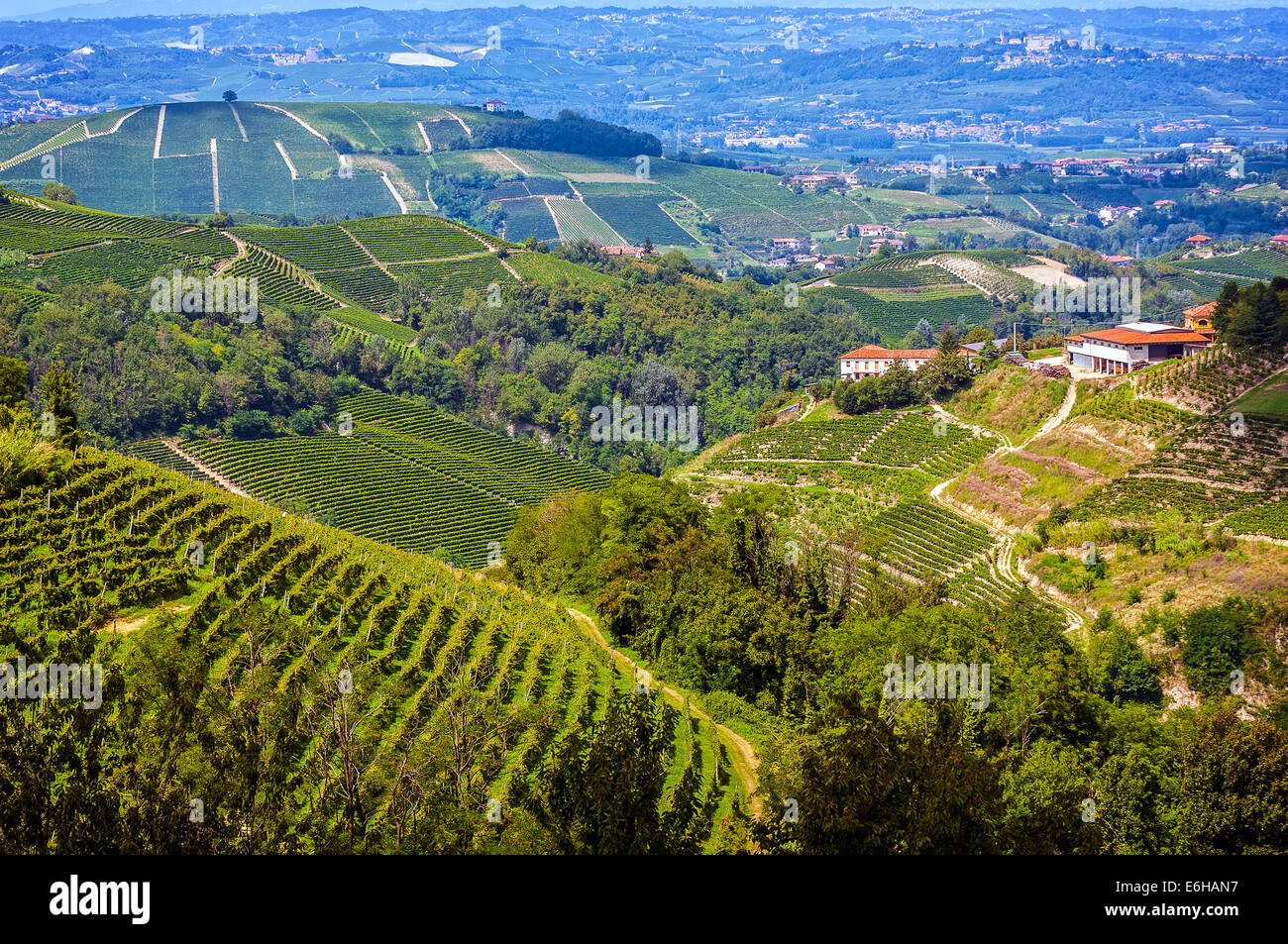 Italien-Piemont-Langhe-Mango Stockfoto