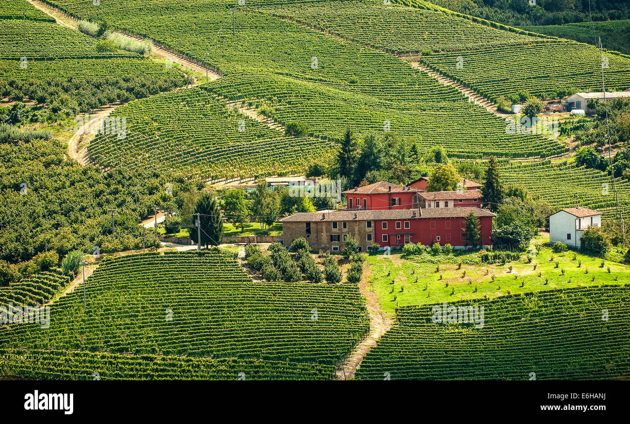 Italien-Piemont-Langhe-Landschaft in der Nähe von Santo Stefano Belbo Stockfoto