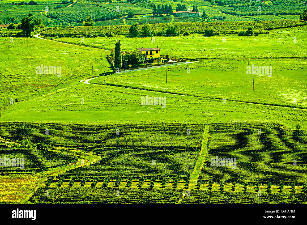 Italien-Piemont-Langhe-Landschaft in der Nähe von Mango-Farm Stockfoto