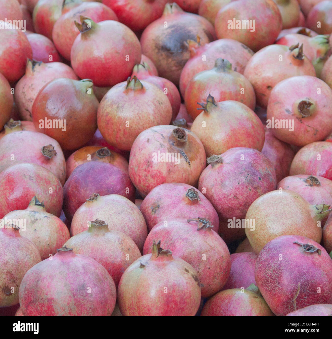 Granatäpfel auf Markt Stockfoto