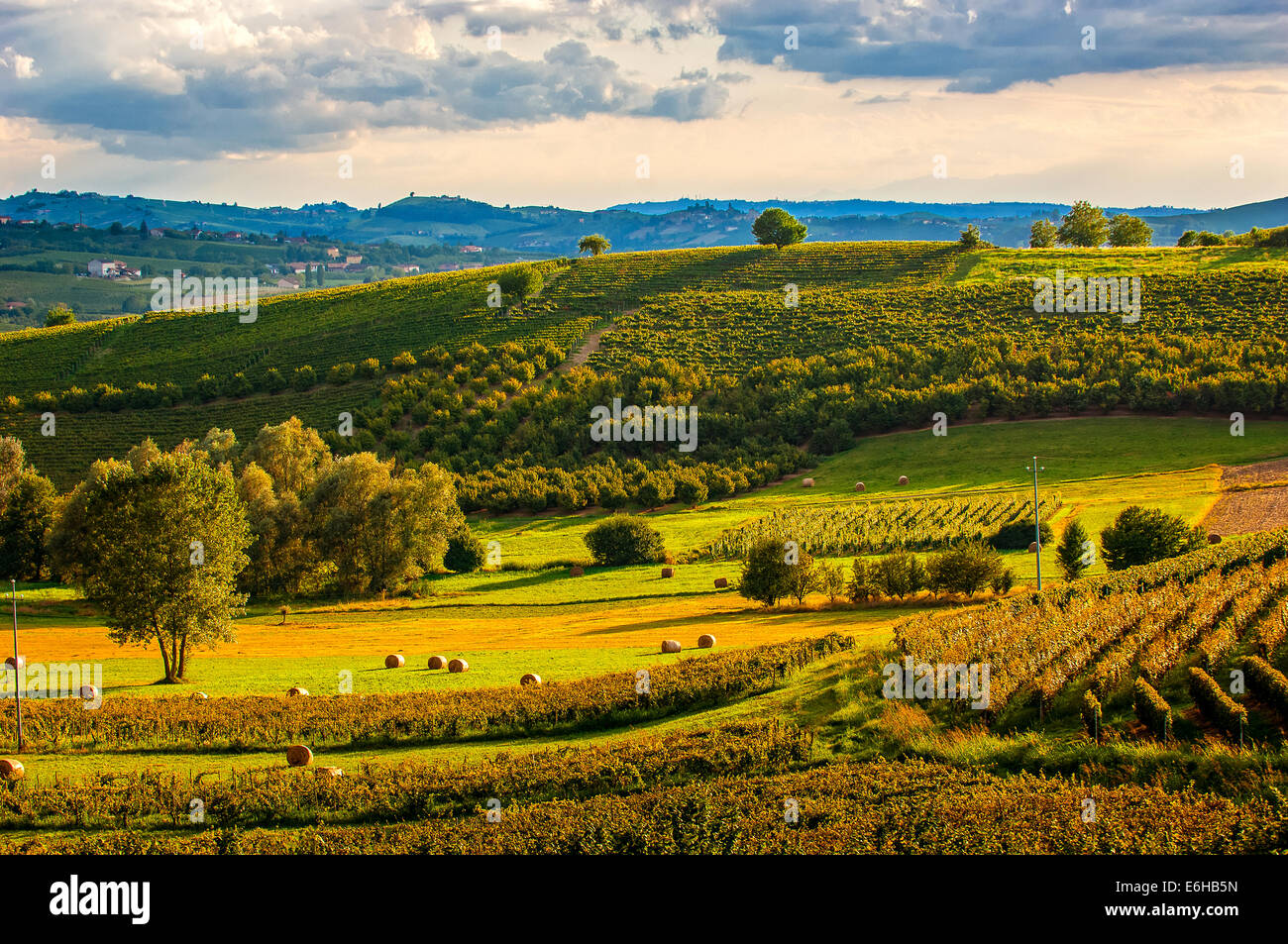 Italien-Piemont-Langhe / Monferrato Calosso Landschaft Stockfoto