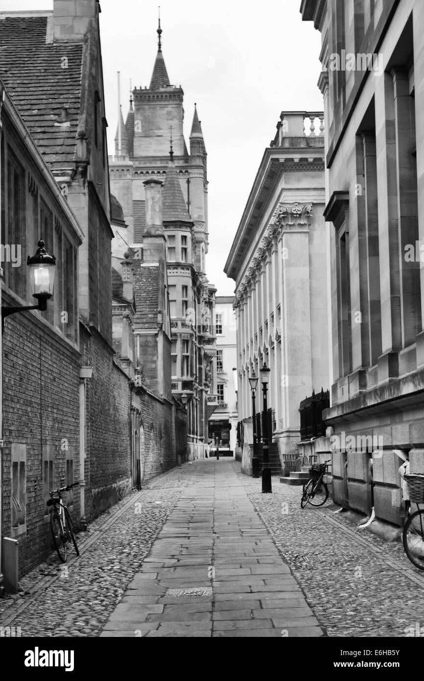 Senate Passage in Cambridge Stockfoto