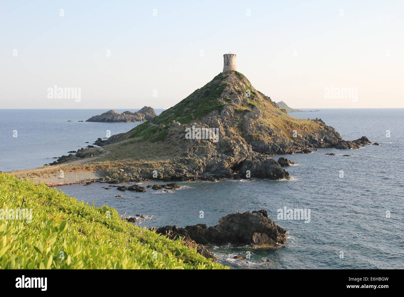 Iles Sanguinaires, in der Nähe von Ajaccio, Korsika, Frankreich Stockfoto