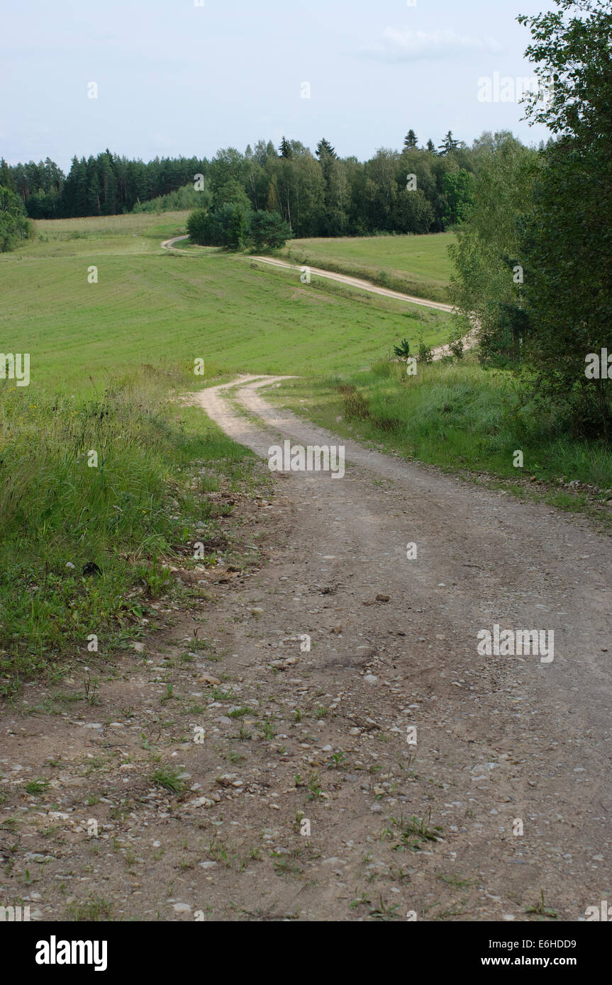 Kurvigen Schotterstrasse Estnische Landschaft Landkreis Tartu Estland Stockfotografie Alamy