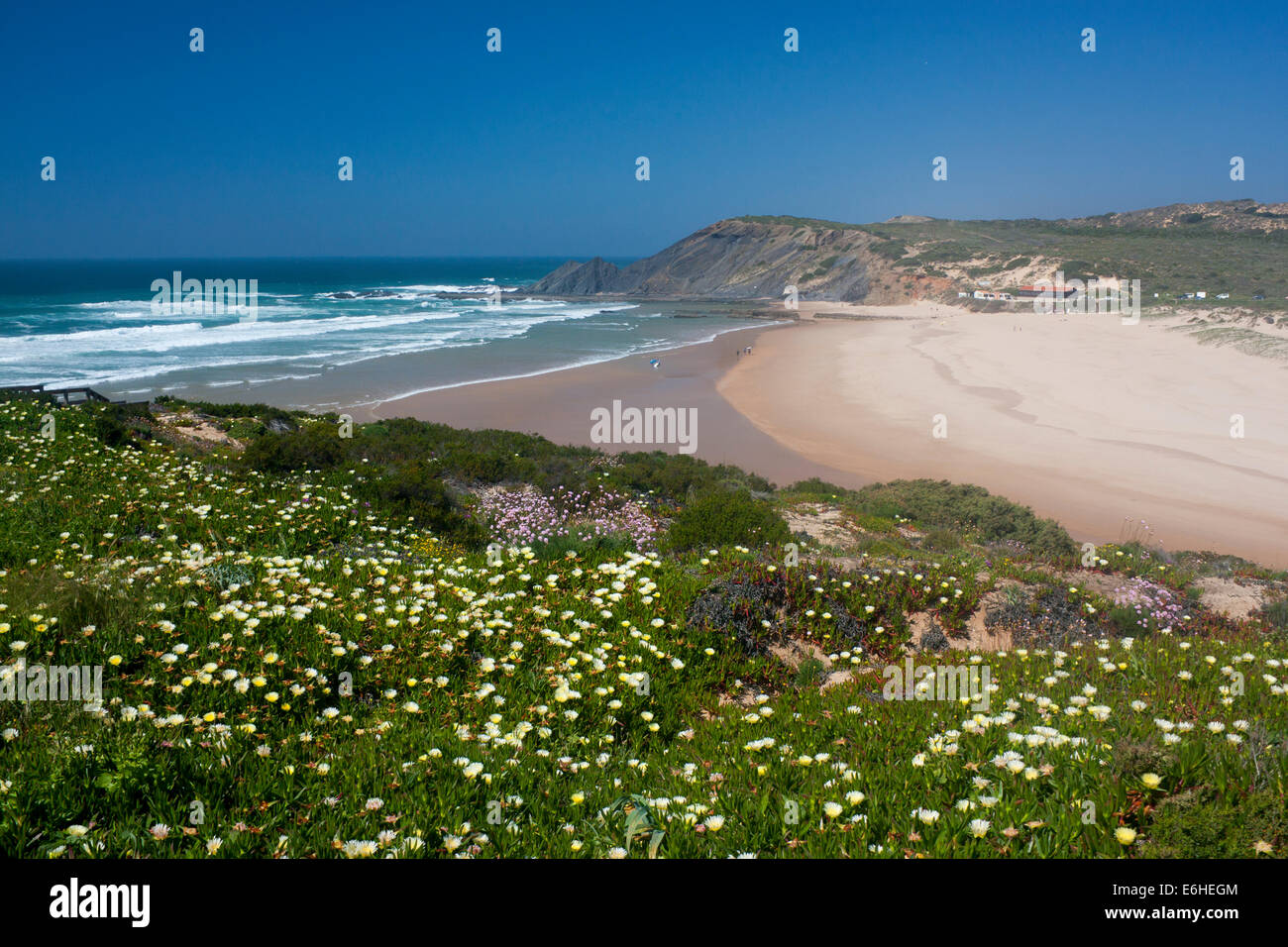 Strand Praia da Amoreira auf Costa Vicentina mit Frühlingsblumen Atlantik Algarve Portugal Stockfoto