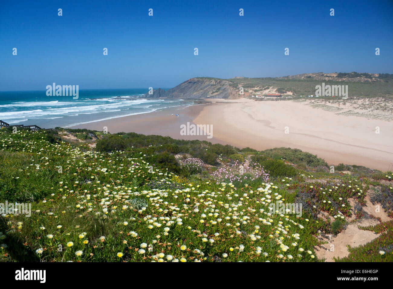 Strand Praia da Amoreira auf Costa Vicentina mit Frühlingsblumen Atlantik Algarve Portugal Stockfoto