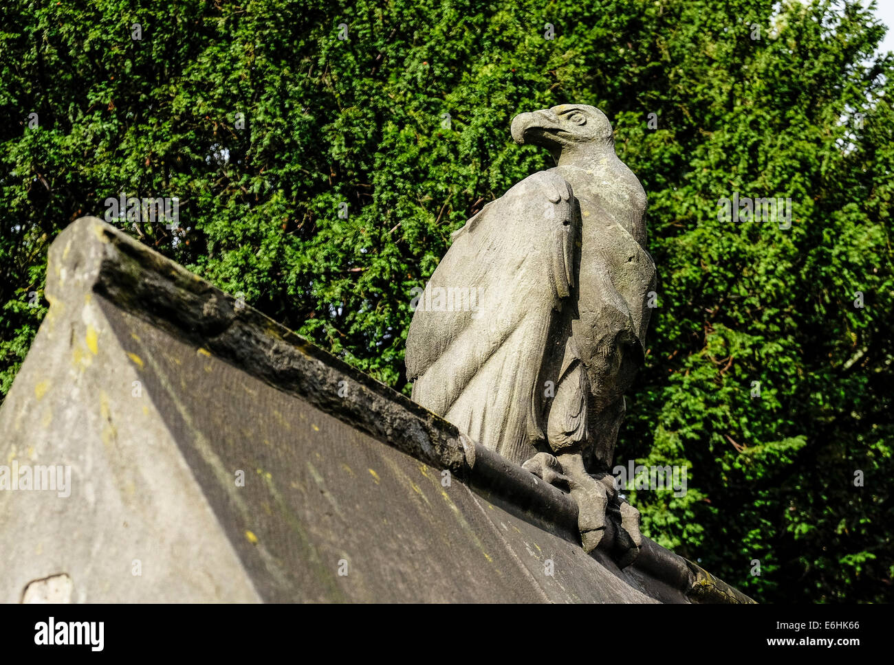 Die Skulptur von einem Geier an der Tier-Wand in Cardiff Castle. Stockfoto