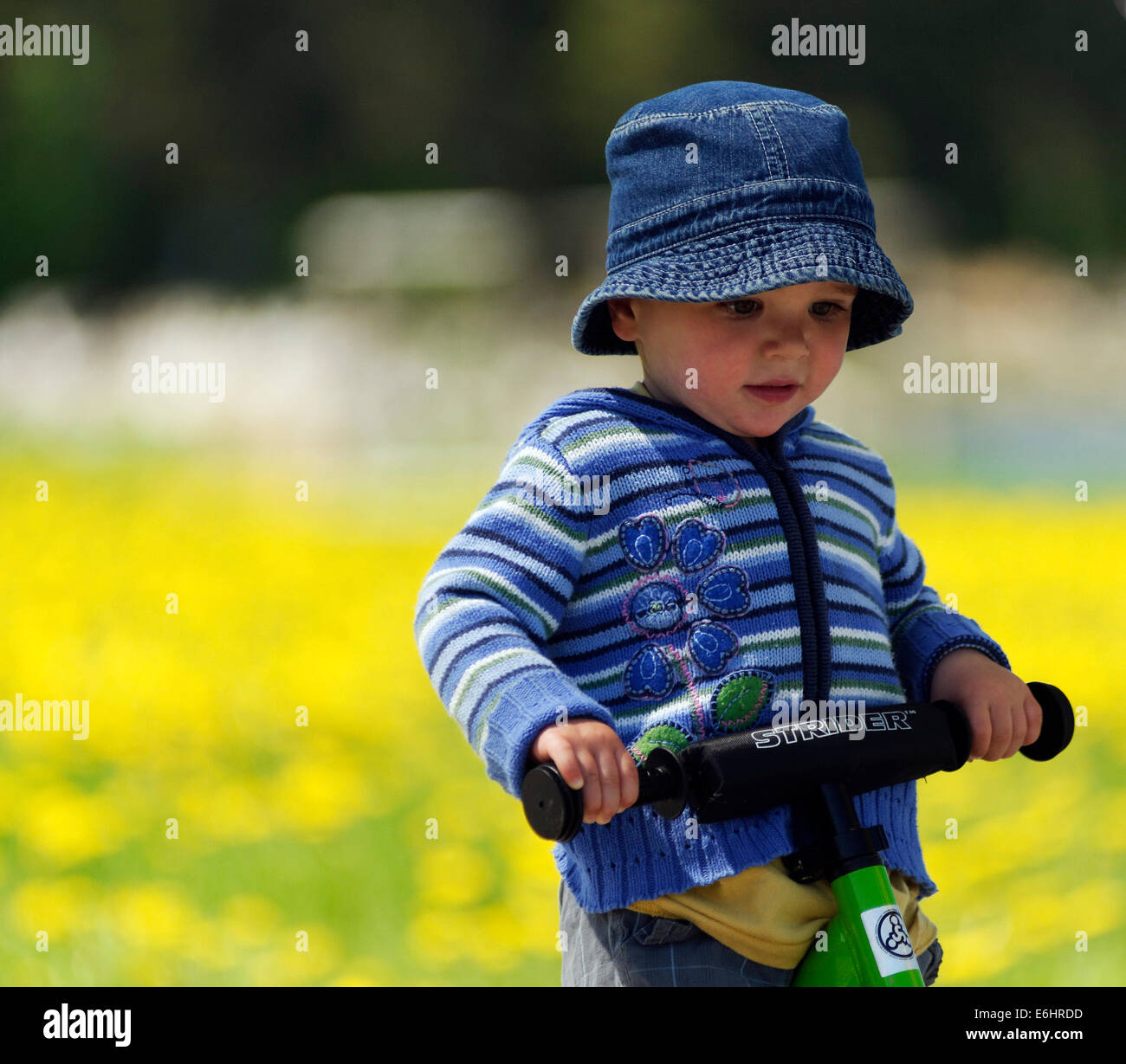 Ein zwei Jahre alter Junge ein Strider Laufrad fahren Stockfoto