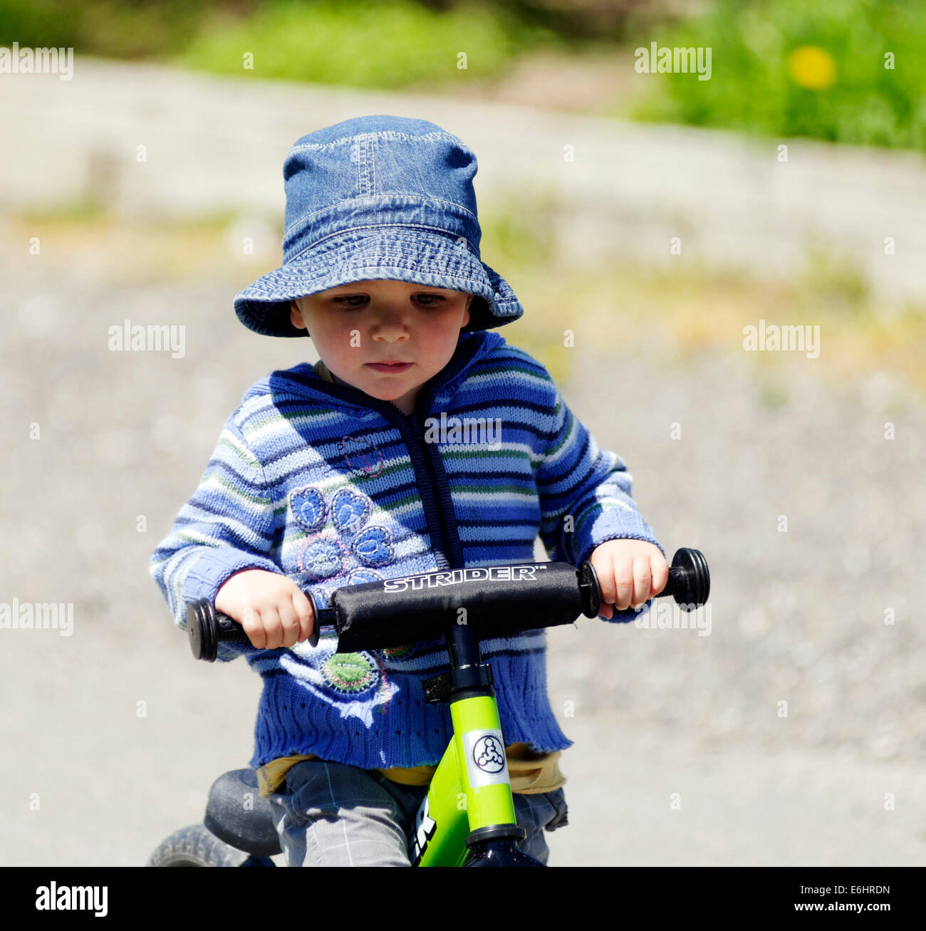 Ein zwei Jahre alter Junge ein Strider Laufrad fahren Stockfoto