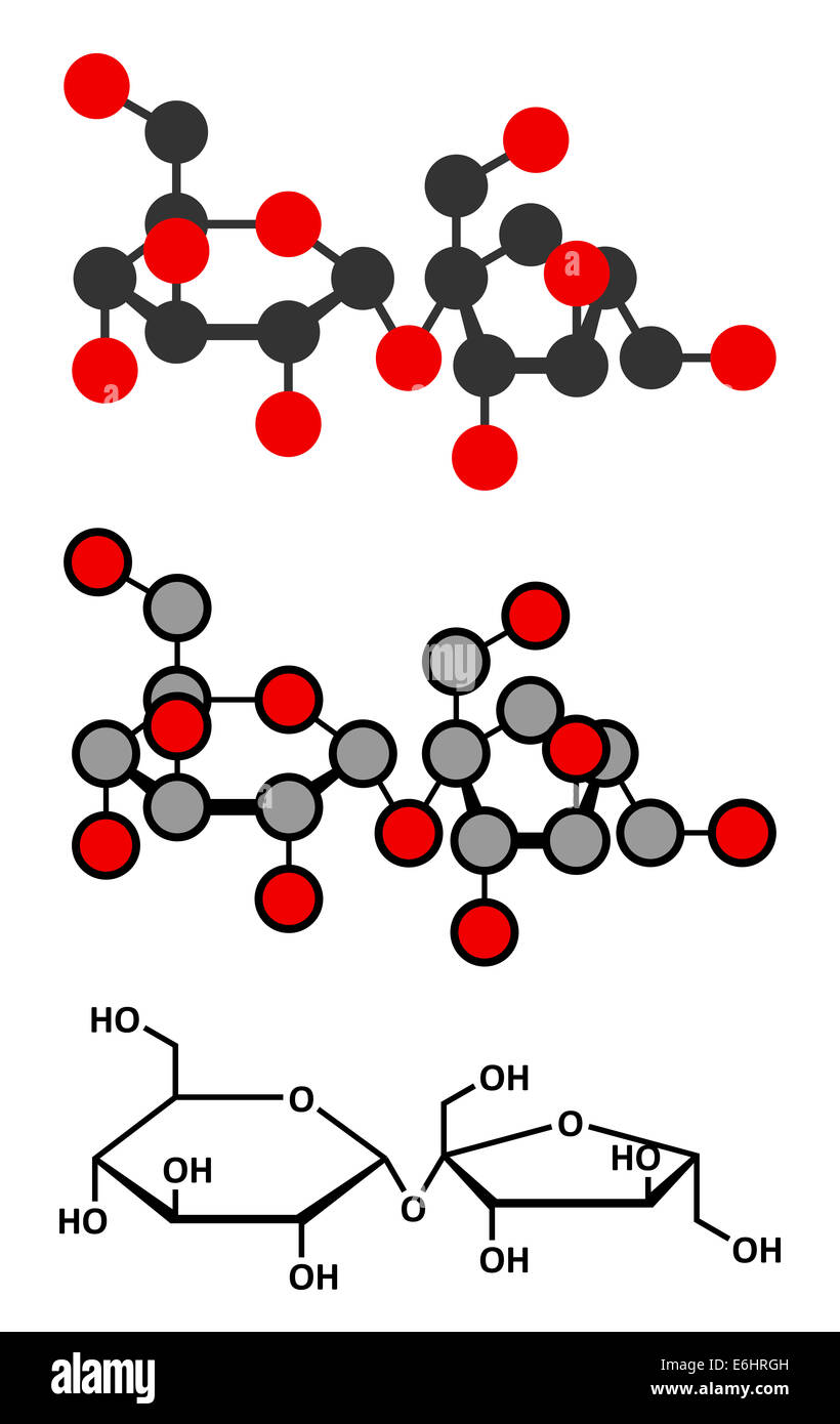 Saccharose Zuckermolekül. Auch bekannt als Haushaltszucker, Rohrzucker oder Rübenzucker Zucker. Stilisierte 2D Renderings und konventionelle Skelett fo Stockfoto