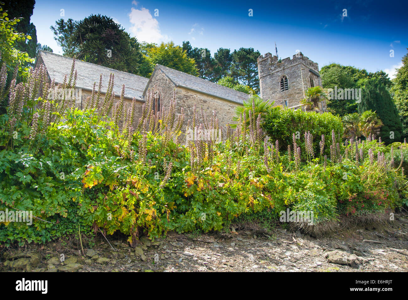 Saint Just in Roseland Kirche, Cornwall, England Stockfoto