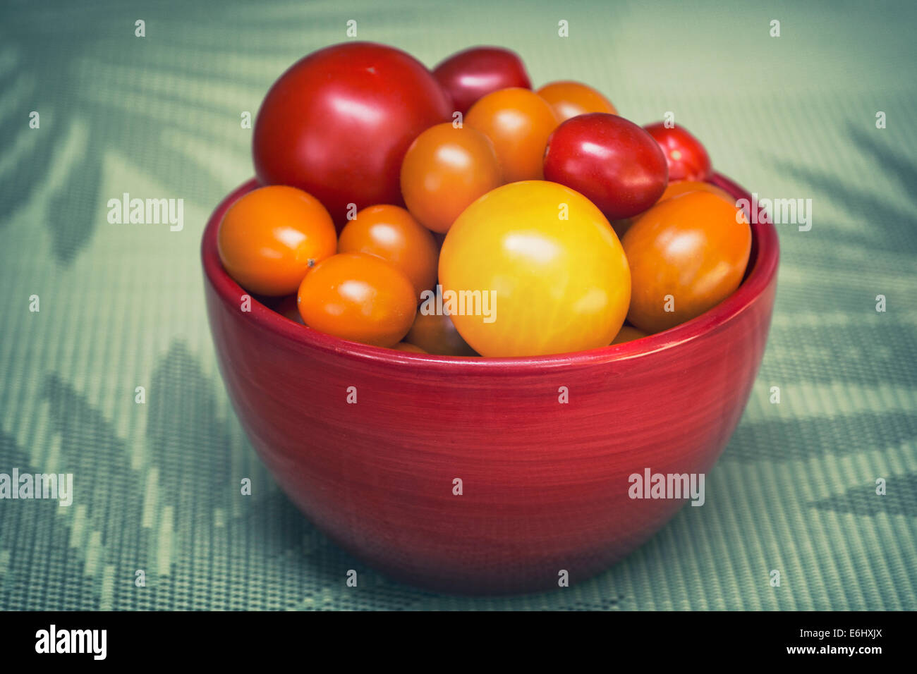 Schüssel mit gemischten Tomaten Stockfoto