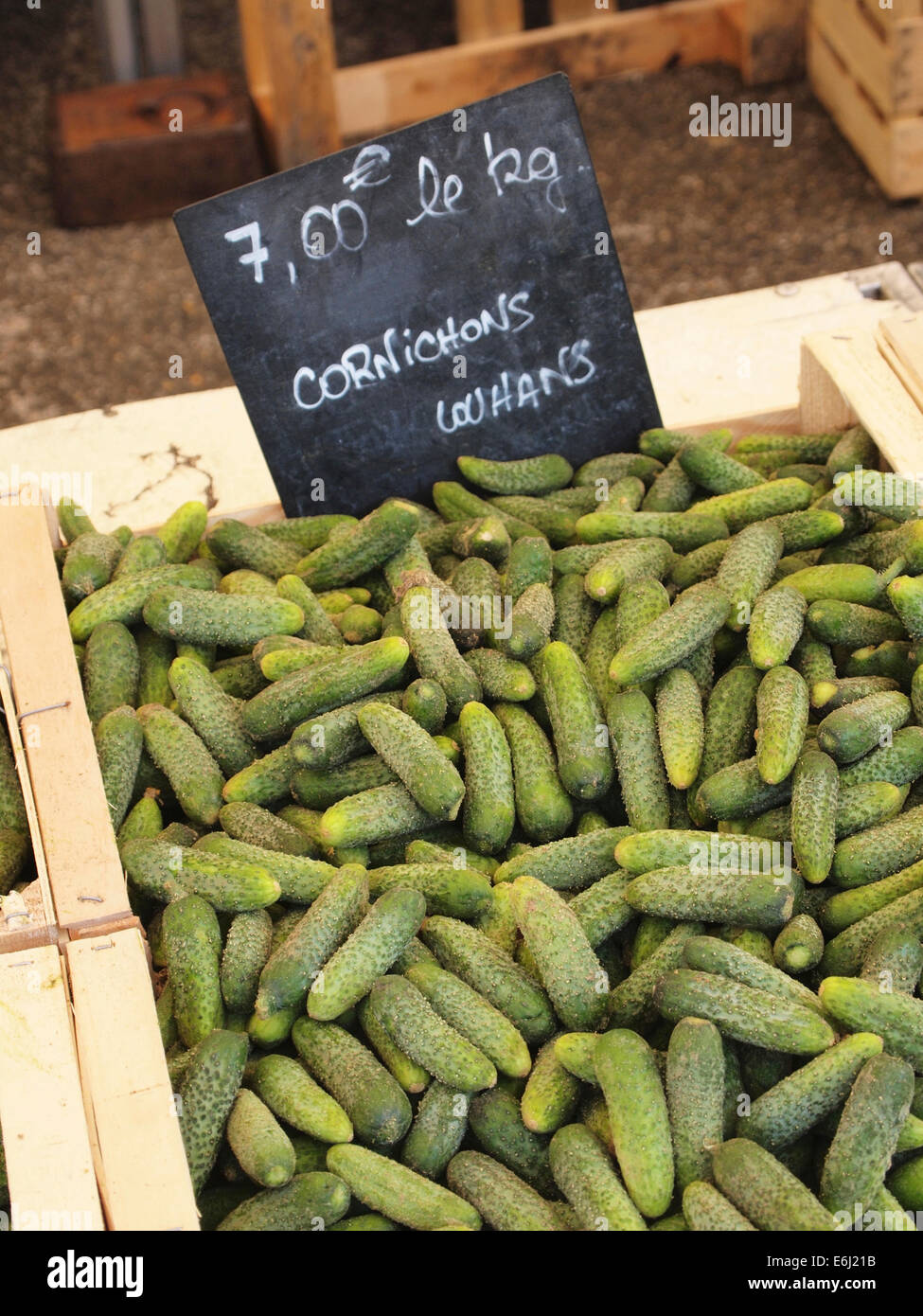 Frische Gurken auf dem Lebensmittelmarkt in Lons le Saunier, Region Jura, Frankreich Stockfoto