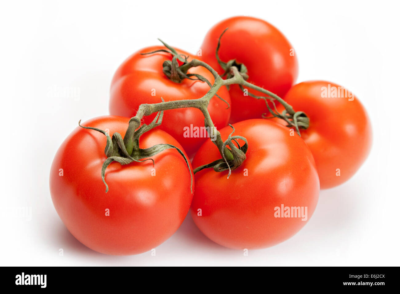 Tomaten Stockfoto