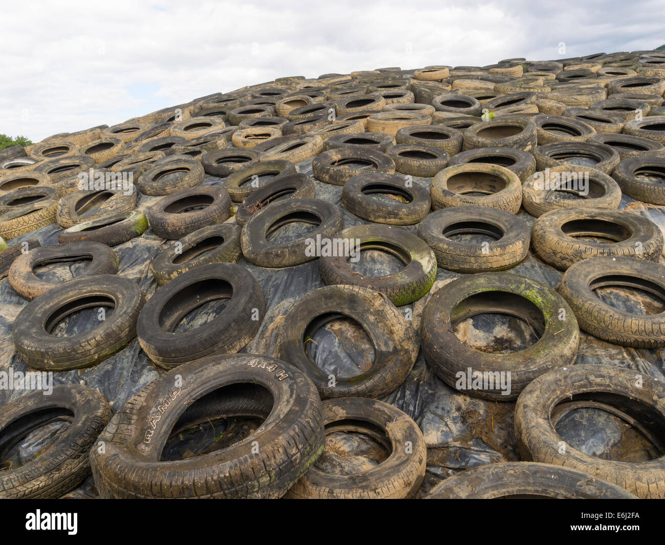 Gebrauchten Reifen auf einem landwirtschaftlichen Betrieb auf einem Haufen von Winterfutter Folie wasserdicht. Stockfoto
