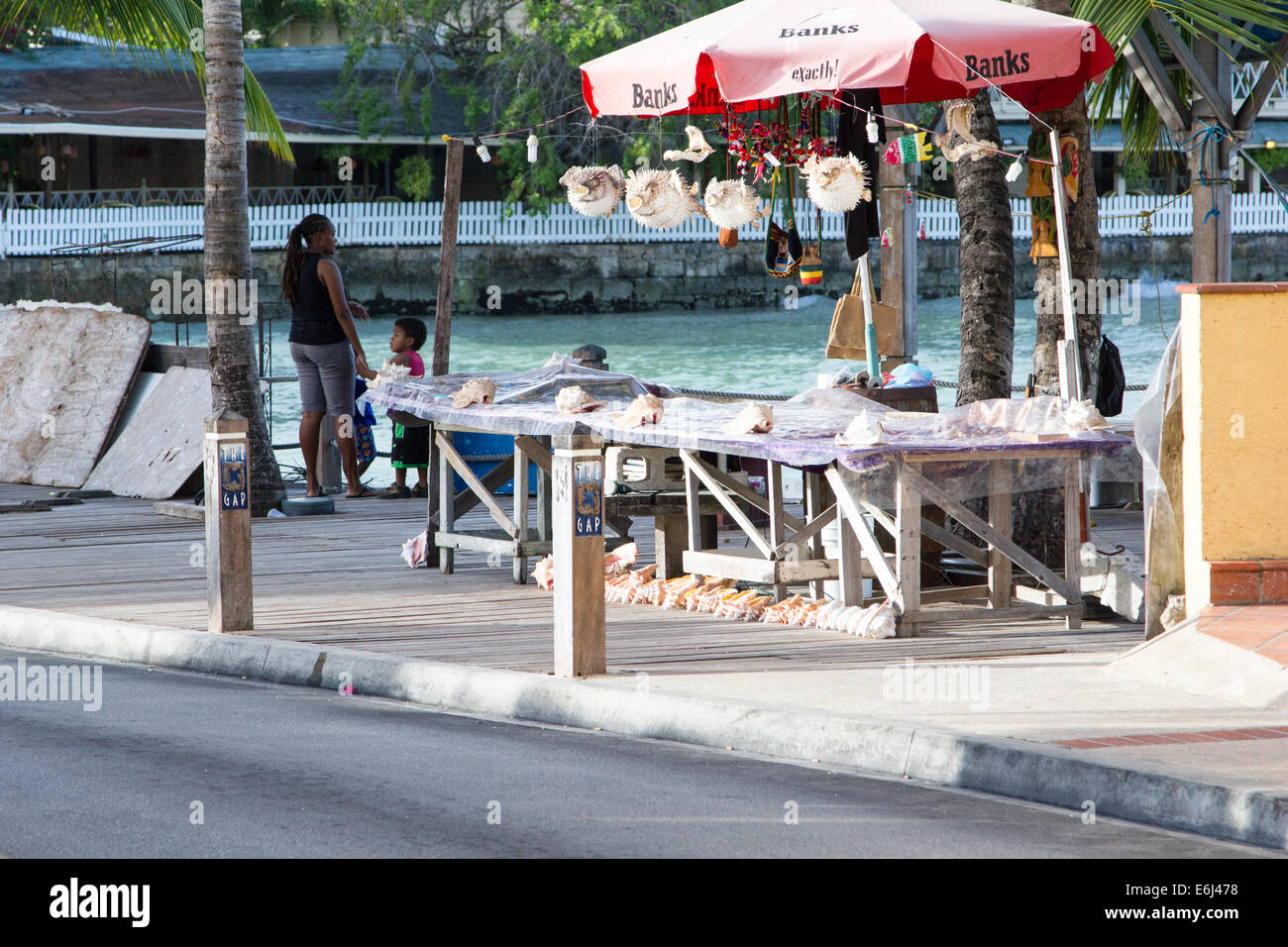 Verkauf von Kugelfische auf einem Marktstand in St. Lawrence Gap, Barbados Barbados Stockfoto