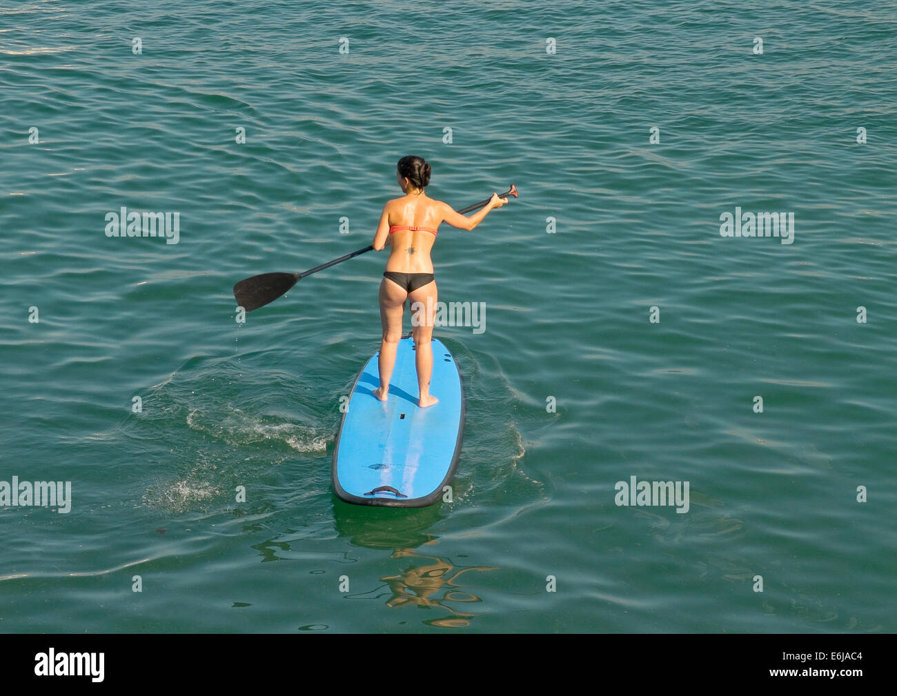 SUP, Paddle Surf am Strand Stockfoto