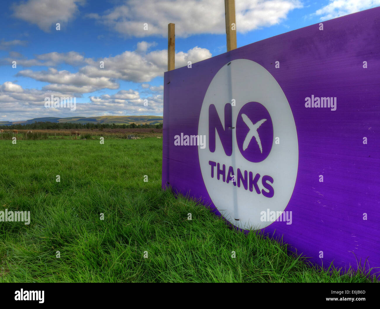 Keine Banner danke lila Better Together in einem schottischen Feld September 2014 Stockfoto