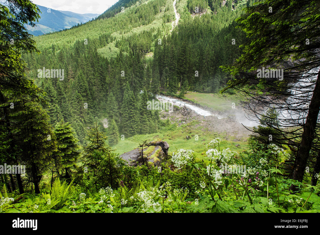 Die Krimmler Wasserfälle in Österreich. Die Wasserfälle sind die höchsten in Europa und der fünfte höchste in der Welt. Stockfoto
