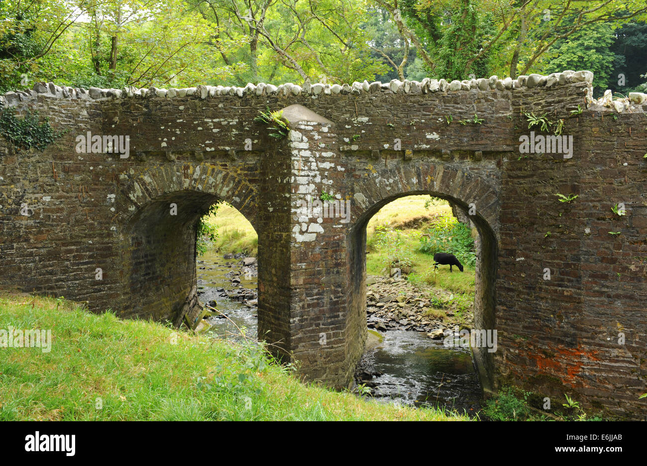Steinerne Brücke in Hartland Abbey, zwischen Bideford und Bude, an der atlantischen Küste von North Devon, England, UK Stockfoto