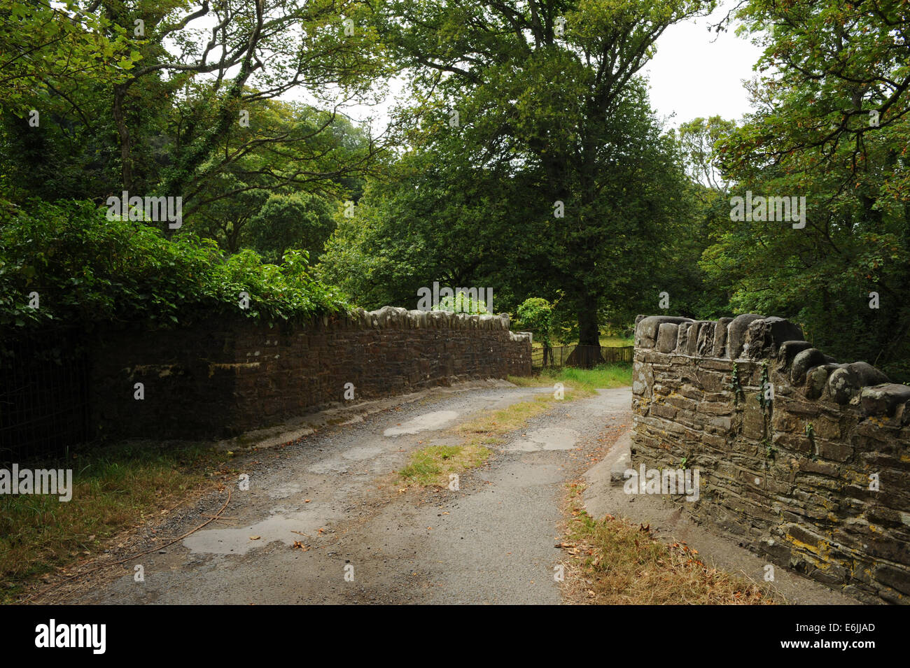Country Lane Kreuzung über eine Old Stone Bridge in Hartland Abbey, zwischen Bideford und Bude, an der Atlantikküste von Nord-Devon, England, Großbritannien Stockfoto