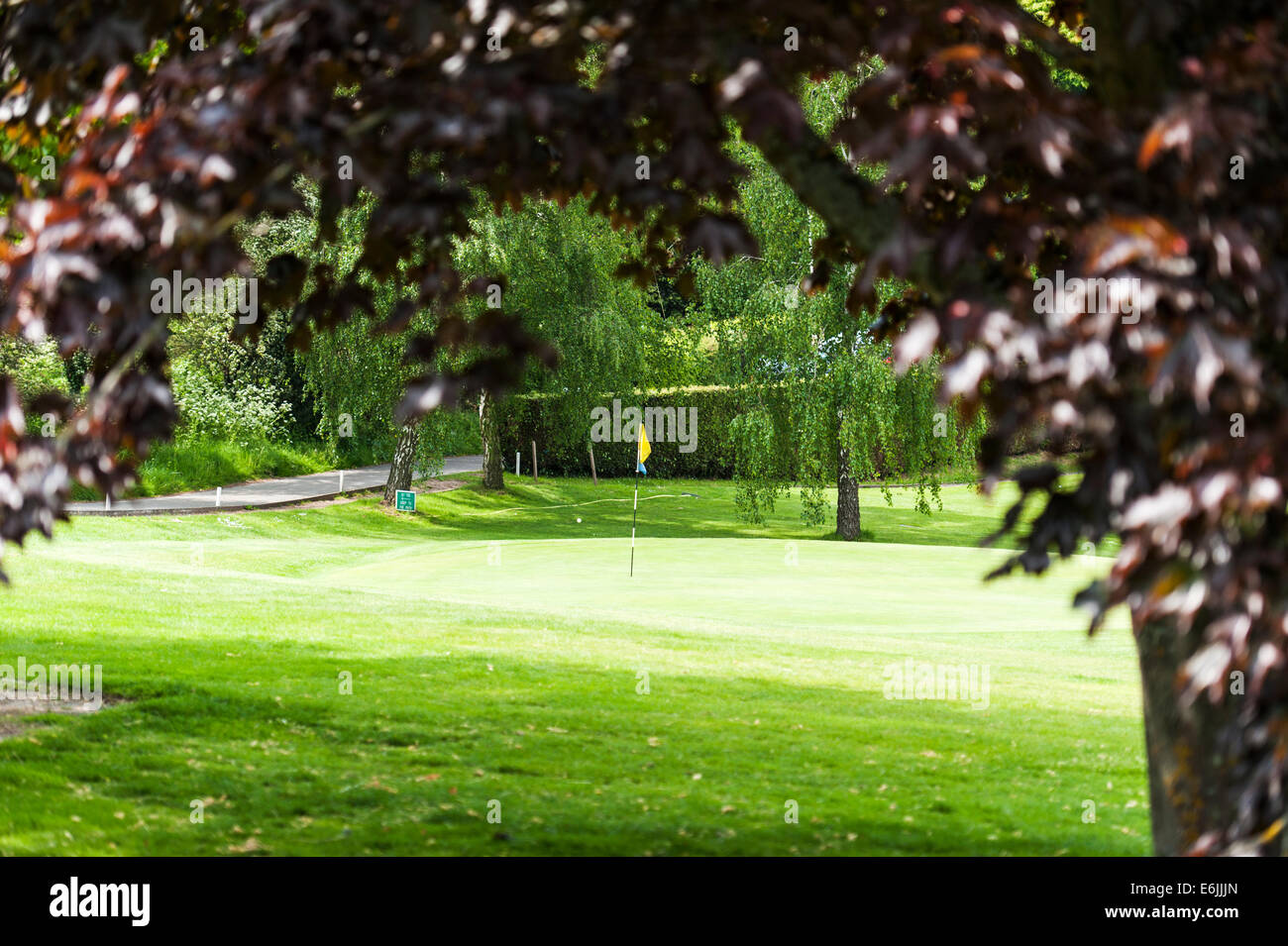 Golfen in Kent, England Stockfoto