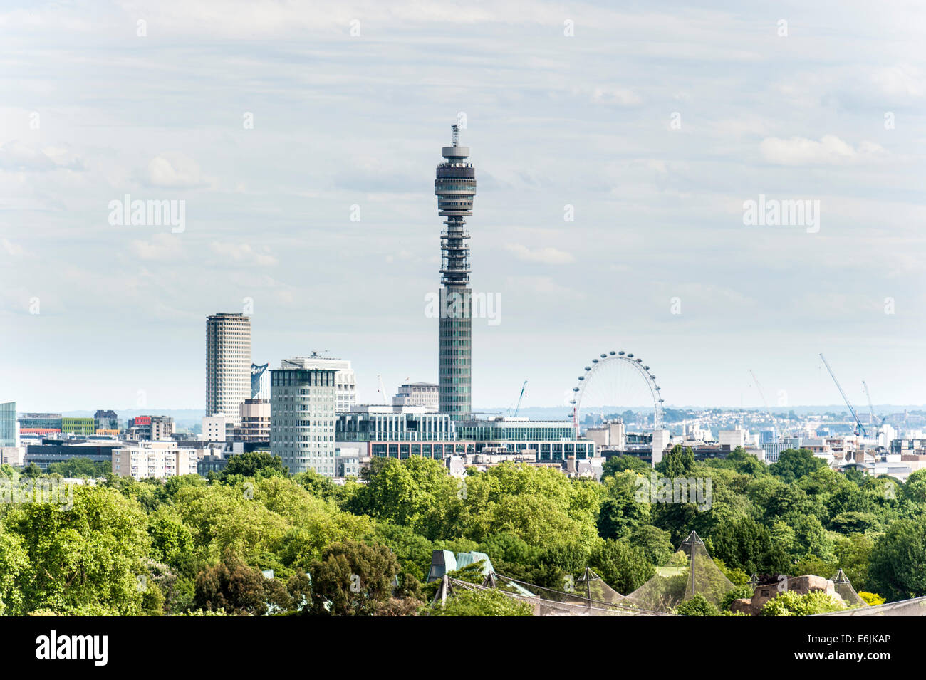 Die Skyline von London von Primrose Hill in der Nähe von Camden in London Stockfoto