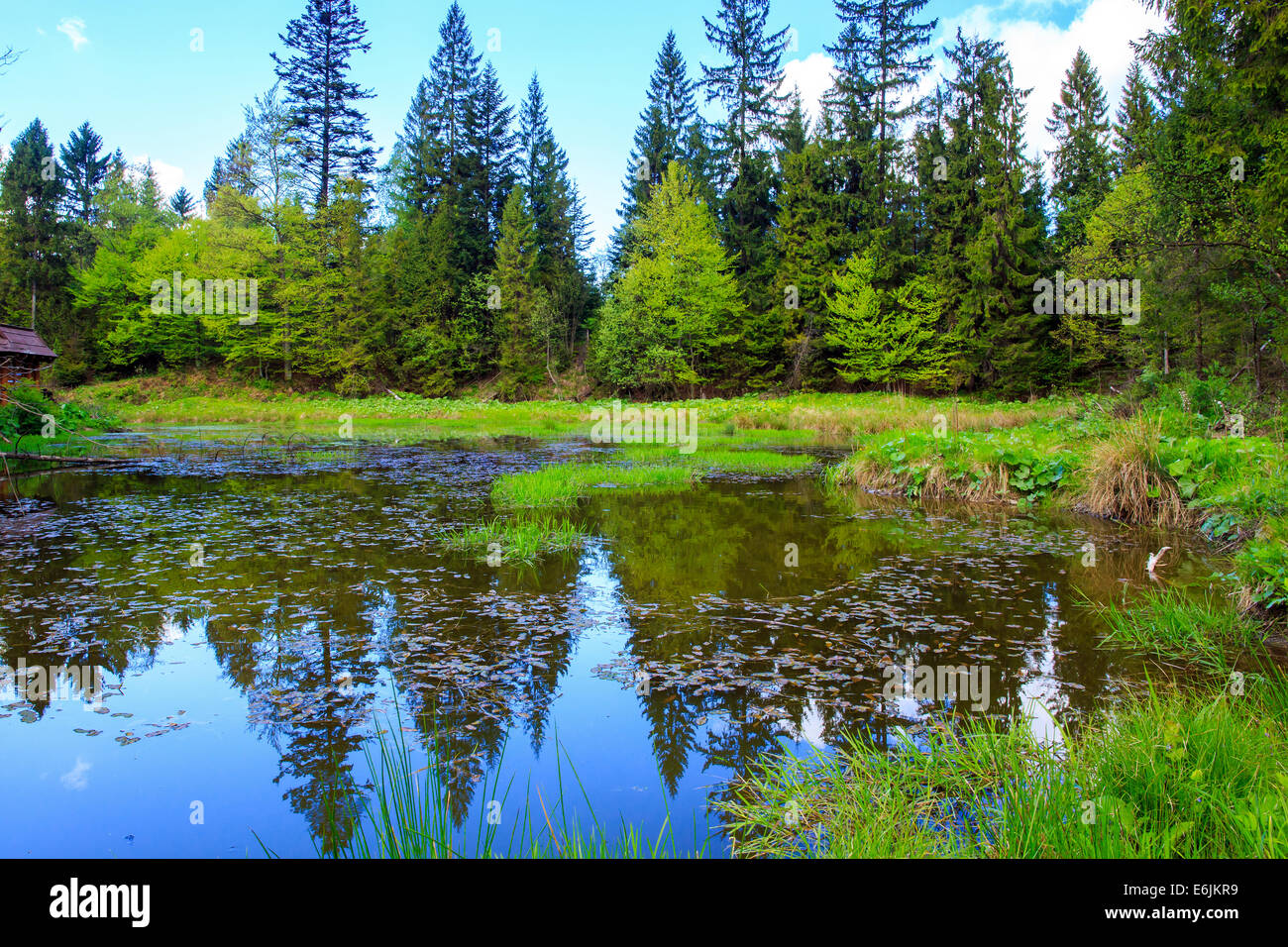 Walden teich Fotos und Bildmaterial in hoher Auflösung Alamy