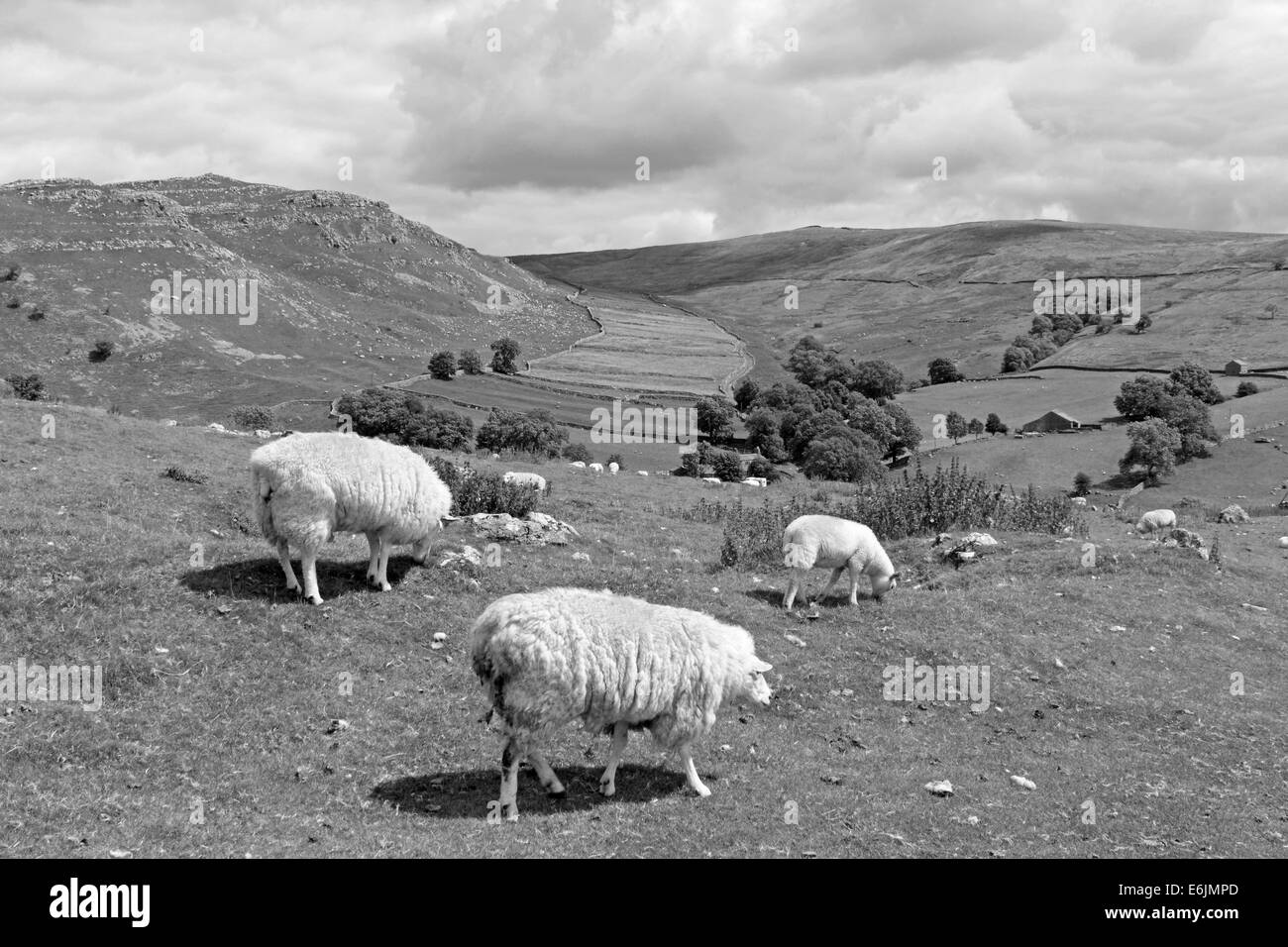 Die Yorkshire Dales National Park bei Gordale Narbe in der Nähe von Malham Yorkshire England UK Stockfoto